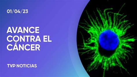 Científicos Del Conicet Lograron Un Importante Avance Contra El Cáncer