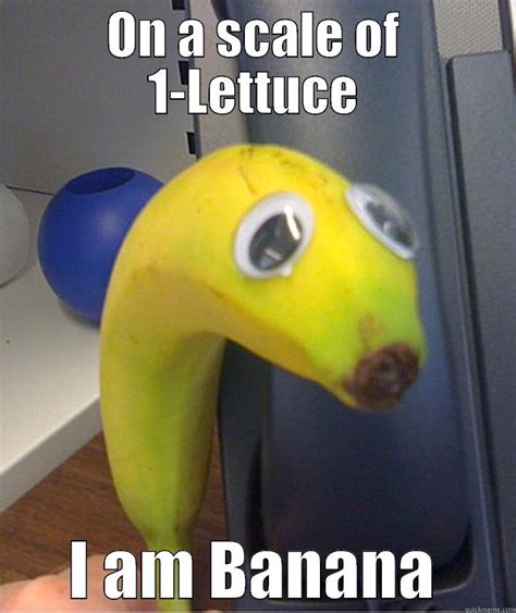 Funny Banana Meme