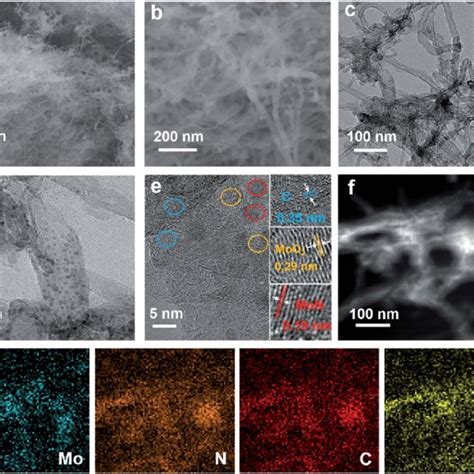 A And B Low And High Magnification SEM Images Of Mo N CNT C TEM