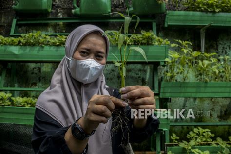 Pertanian Vertikal Di Tengah Perkotaan Republika Online