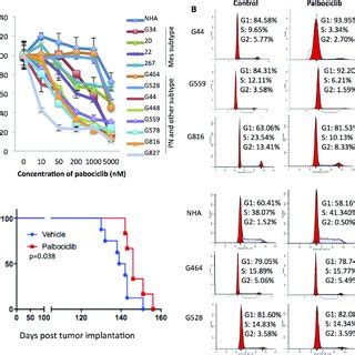 Pn Gscs Are More Sensitive To Palbociclib Than Other Gsc Subtypes A