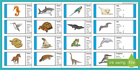 Classifying Vertebrates | Animal Cards (Teacher-Made)