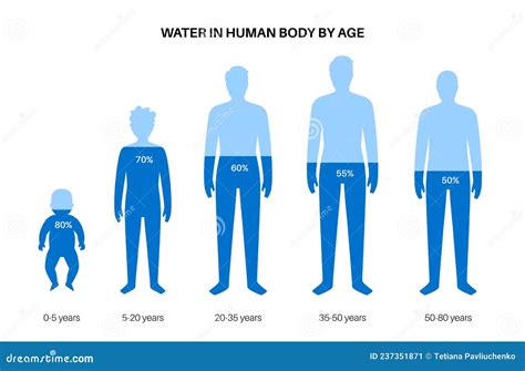 Water Body Balance Stock Vector Illustration Of Thirsty 237351871