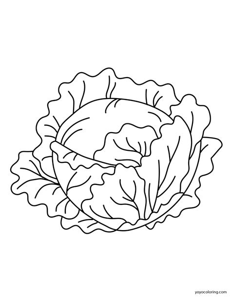 Lettuce Clipart Verduras Alface Lechuga Supercoloring Lattuga Colorare