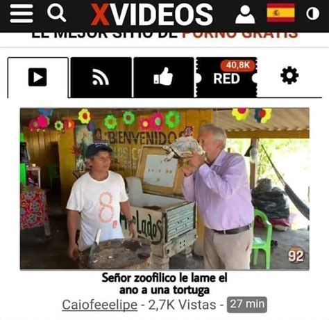 Xvideos le propone a AMLO tener allí su canal para echarse el mañanero Letra Gorda