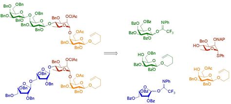 Molecules | Special Issue : Oligosaccharide Synthesis