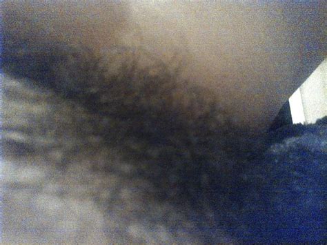 Beautifull Sativas Privat Pictures ZB Porn