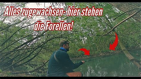 Einfach Forellen Am Kleinen Fluss Fangen Angeln An Schweren Stellen