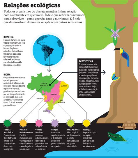 Exercícios De Ecologia Enem - RETOEDU