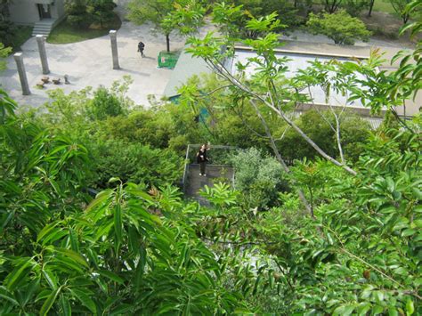 Зелената пирамида | highviewart.com