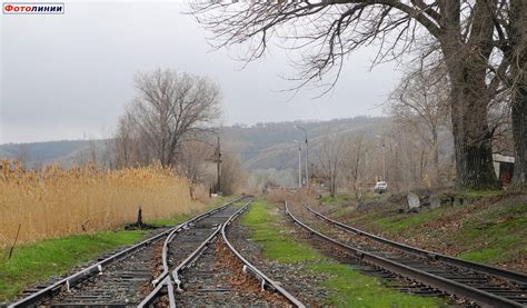 Станция Донская. Подъездные пути — Railwayz.info