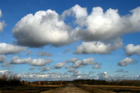 Free Images Landscape Nature Forest Grass Horizon Cloud Sky