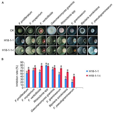 The Inhibition Of Plant Pathogenic Fungi In Plants Treated With Download Scientific Diagram