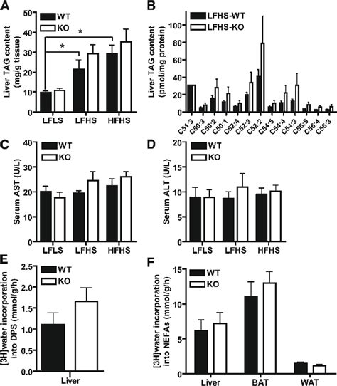 Lipid Homeostasis In Pnpla Knockout Ko Mice A Liver Tag Content