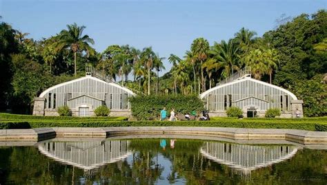 Jardim Botanico de São Paulo, São Paulo - SP, Brasil | Botanical ...