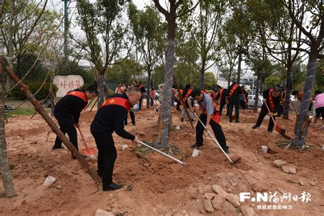 福州：劳模种树忙 榕城添新绿 中国福建三农网