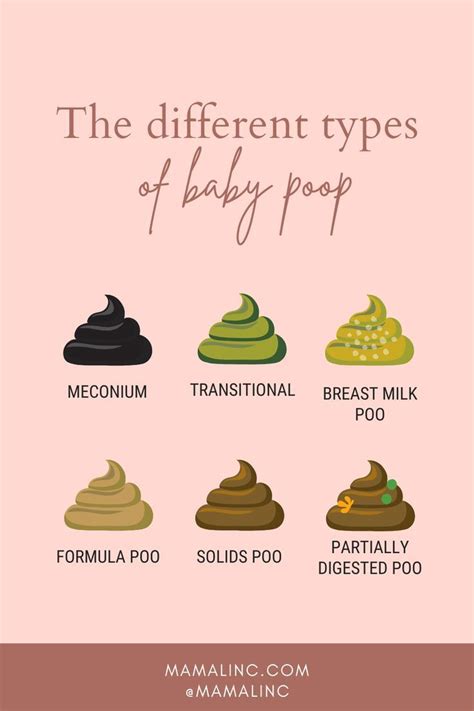 The different types of baby poop | Baby pooping, Newborn baby tips ...