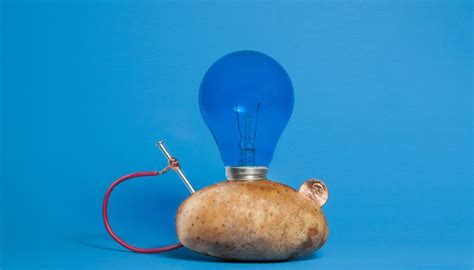 Potato Light Science Project