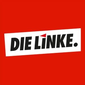 Linke Fraktion Hamburg Cansu Özdemir Deniz Celik Heike Sudmann