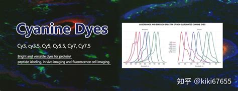 关于花青素Cyanines系列荧光染料的分类和特性介绍 知乎