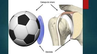 Luxacinescpulohumeral Conversion Gate Ppt