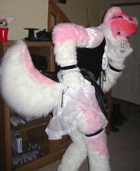 Fursuit Collection E Hentai Lo Fi Galleries