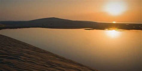 Doha Half Day Private Desert Safari And Inland Sea Tour GetYourGuide