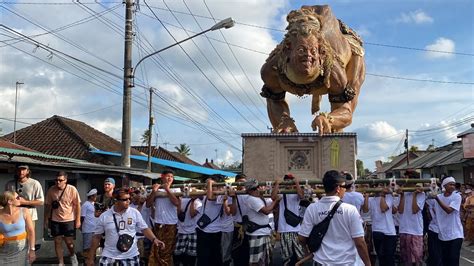 Sato Megaang Tampil Memukao St Sentana Luhur Br Kelodan Tampaksiring