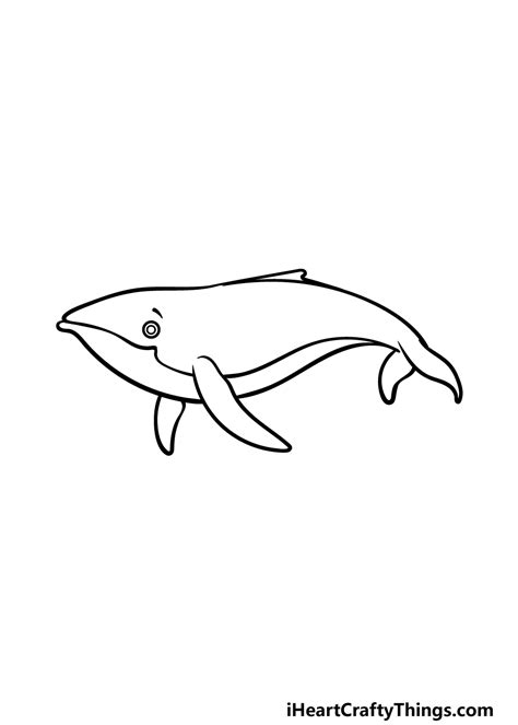 Humpback Whale Line Drawing