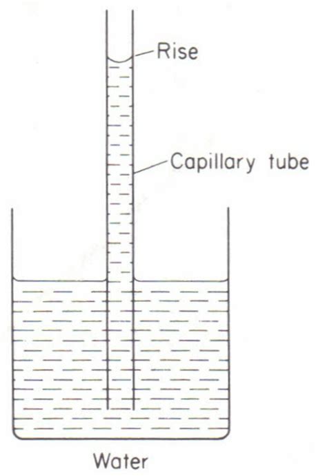 Capillary Action Science Title Page