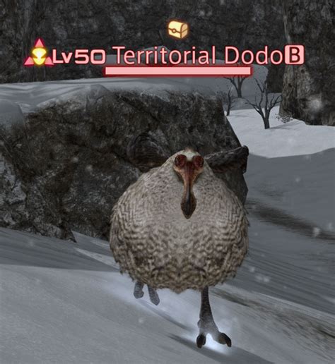 Territorial Dodo - Gamer Escape's Final Fantasy XIV (FFXIV, FF14) wiki