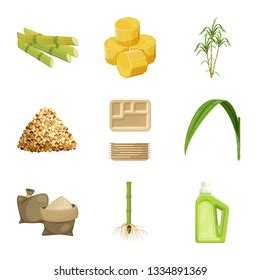 Biofuel Biomass Ethanol Made Form Sugar เวกเตอรสตอก ปลอดคา