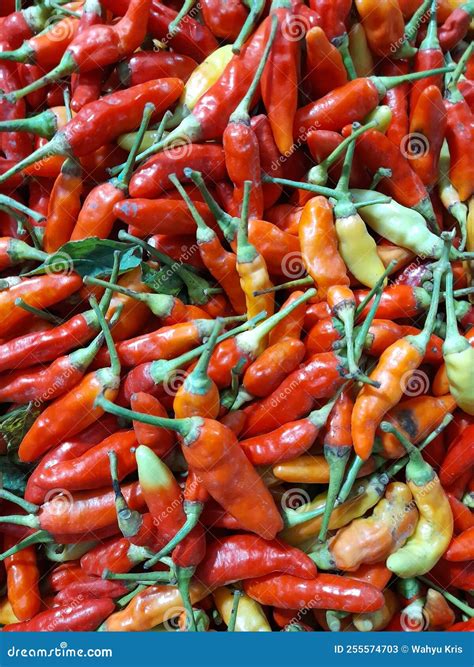 Pile Of Red Hot Chili Pepppers Stock Image Image Of Fire Mexican 255574703