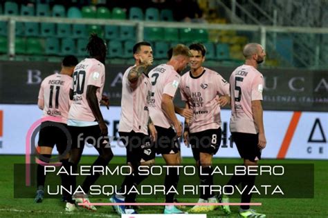 Palermo Sotto L Albero Una Squadra Ritrovata ForzaPalermo