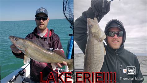 Lake Erie Pre Spawn Walleye Youtube