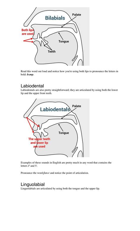 SOLUTION Place Of Articulation An Accostic Phonetics Studypool