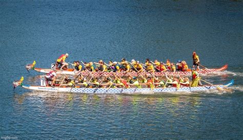 Dragon Boats Imgflip