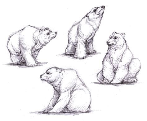 Grizzly Bear Sketch at PaintingValley.com | Explore collection of Grizzly Bear Sketch