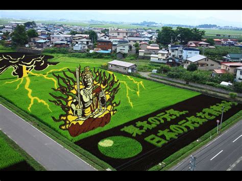 Rice Paddy Art: Don’t Miss Japan’s Otherworldly Art! | Goin’ Japanesque!