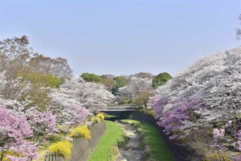 花木園 国営昭和記念公園公式ホームページ