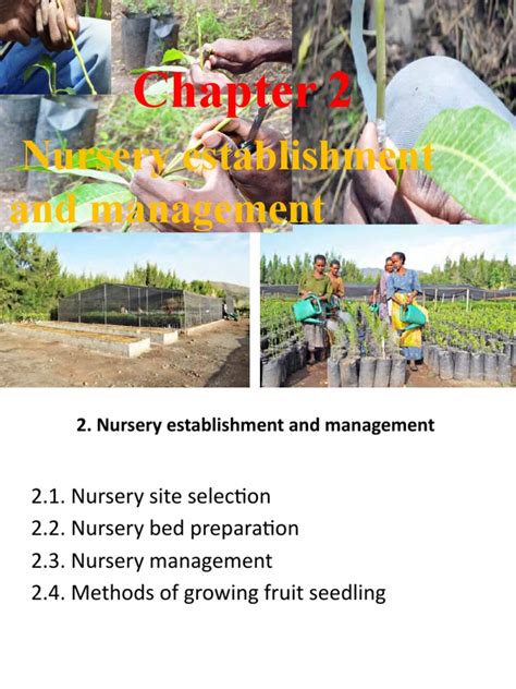 how to open a nursery