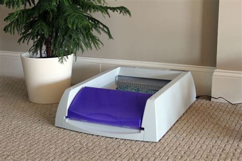 PetSafe ScoopFree Ultra Litter Box Review: Wishful Thinking