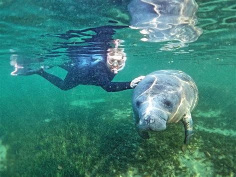 Three Sisters Springs – Crystal River, Florida