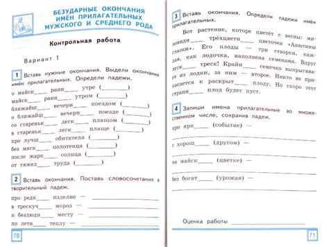 Иллюстрация 1 из 1 для Контрольные работы по русскому языку: 4 класс ...