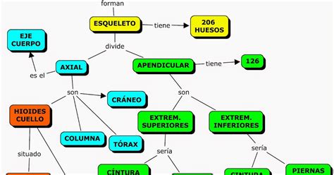 13 Mapa Conceptual Sobre El Sistema Oseo Mapa Mentos Images Porn Sex