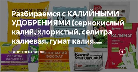 Разбираемся с КАЛИЙНЫМИ УДОБРЕНИЯМИ (сернокислый калий, хлористый ...
