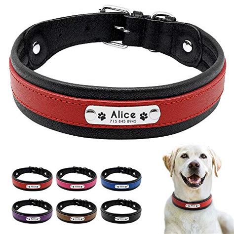 Pet Artist Collar Para Perro Con Nombre De Perro Grabado Personalizado