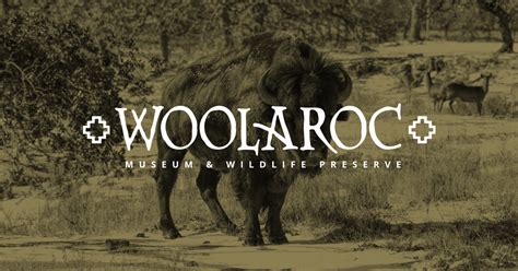 Wildlife Preserve | Visit Woolaroc | woolaroc.org