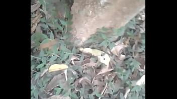 20170121 165322 XVIDEOS