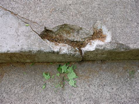 Recent Photographs — MARCIE REVENS